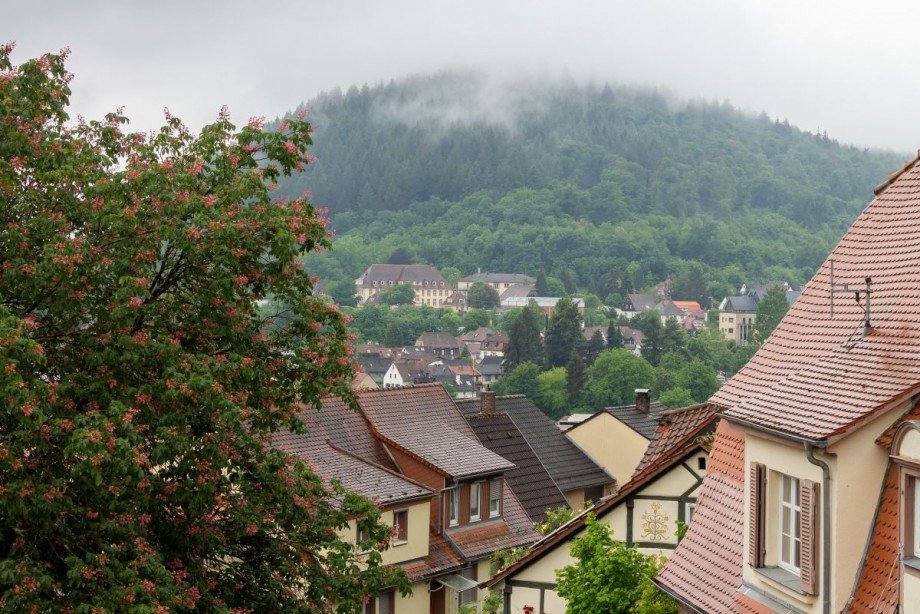 Ausblick Wohnzimmer Dachgeschosswohnung Neckargem�nd