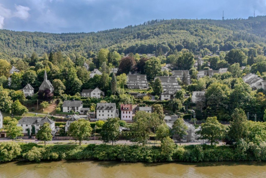 N�he zum Neckar Einfamilienhaus Heidelberg