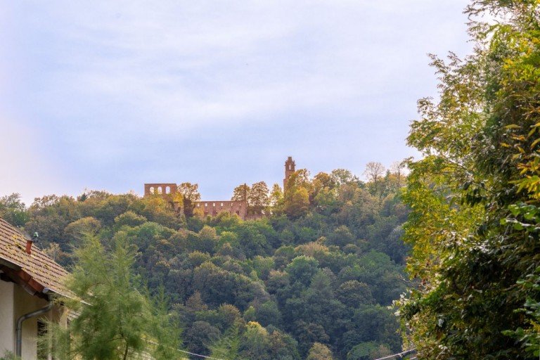 Ausblick vom Grundst�ck Bad D�rkheim Wohngrundst�ck Traumhaftes Grundst�ck in Bad D�rkheim mit Blick auf die Klosterruine Limburg