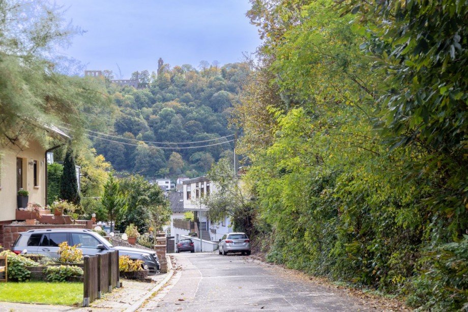 Grundst�ck - rechts Wohngrundst�ck Bad D�rkheim