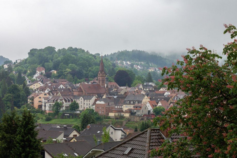 Ausblick Wohnzimmer Dachgeschosswohnung Neckargem�nd
