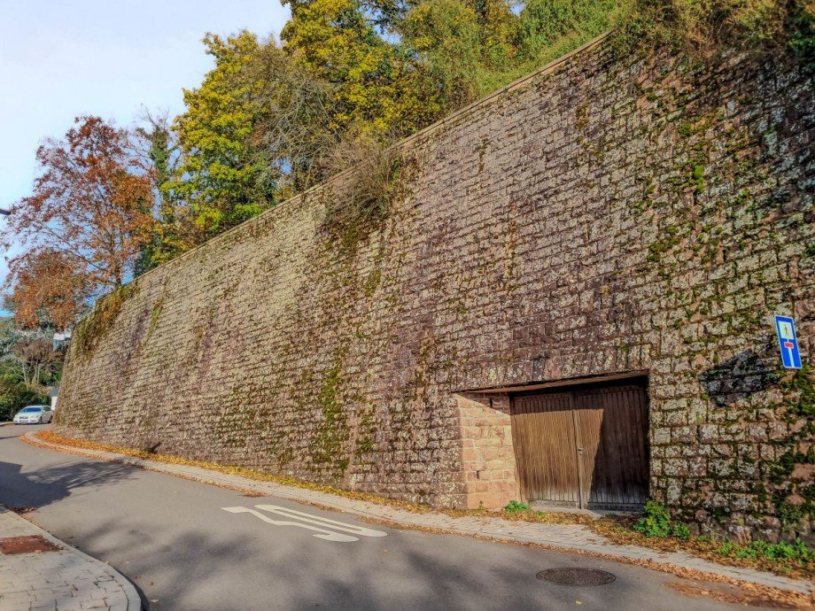 Stra�enansicht Villa Heidelberg