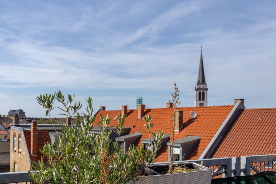 Ausblick Dachterrasse Wohnung Mannheim