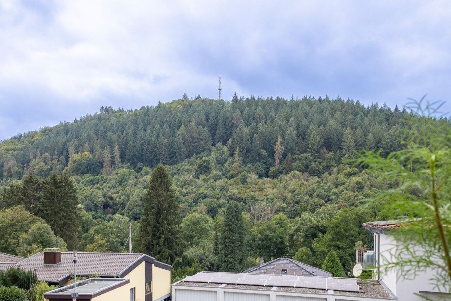 Aussicht von Balkon und Terrasse Mehrfamilienhaus Neckargem�nd