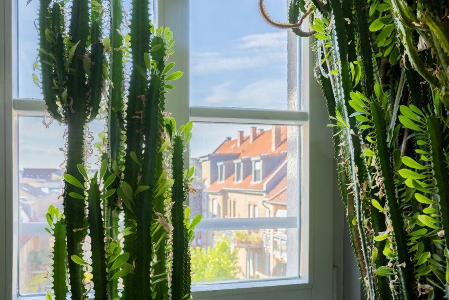 Ausblick - K�che & Eingang Wohnung Mannheim