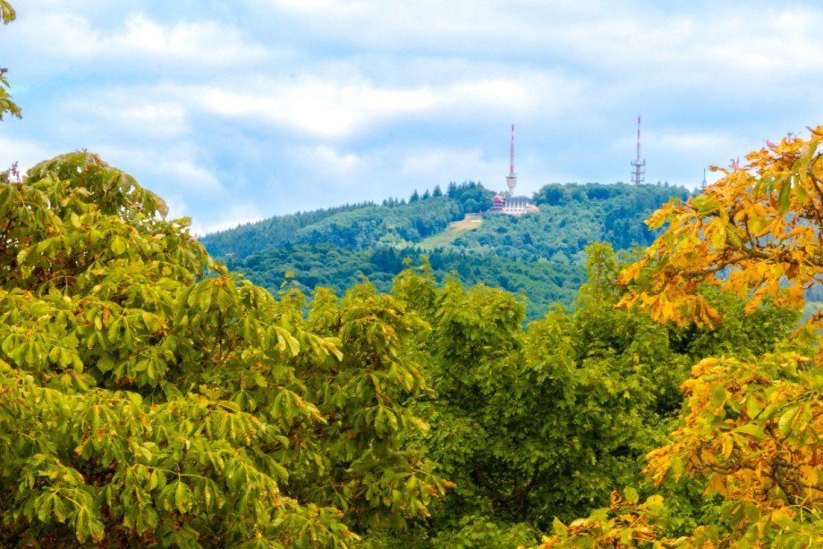 Ausblick von der Loggia Etagenwohnung Heidelberg